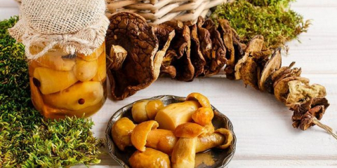 Jak osolit houby doma - osvědčené recepty